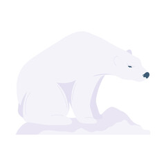 polar bear animal