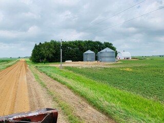 farm in summer