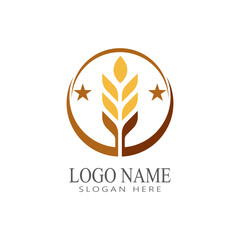 Agriculture wheat vector icon design