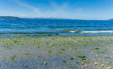 Shore Sea And Mountains