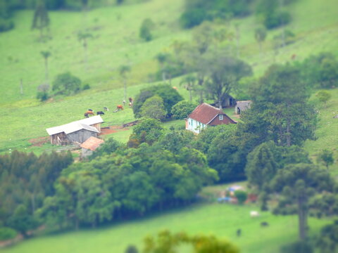 Tilt Shift 02