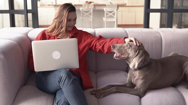 woman playing with her dog in the living room