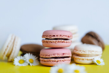 French macaroons, Selective focus stack of pink macaroons with blurry daisy on white background. Colorful macaroons. Top view