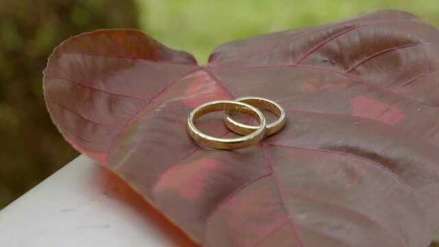 Anillos de boda sobre una hoja de color roja
