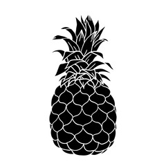 Pineapple - vector illustration of pineapple tropical fruit, black and white. Graphic pineapple image.