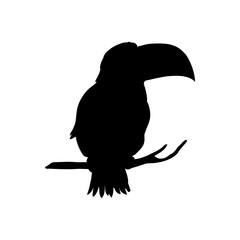Obraz premium Vector illustration of a toucan silhouette isolated on a white background.