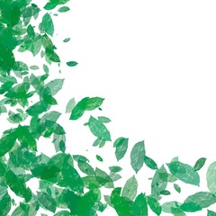 Green presentation, leaves flying, floral background 