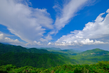 Fototapeta na wymiar beautiful landscape nature of rain forest and mountain background. tropical forest of thailand.