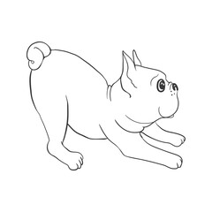 French bulldog background. Dog, illustration, french