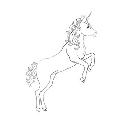 Unicorn, hand drawn vector linen illustration for logotype, coloring book
