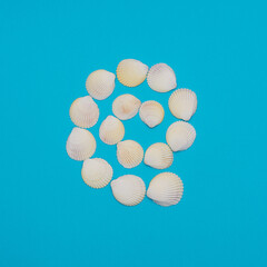 Sea shells in the form of a spiral on bright blue background. Summer time concept. Flat lay style
