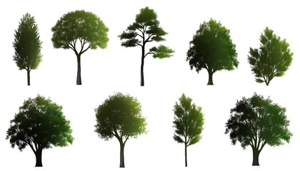 Collection of abstract watercolor tree side view isolated on white background  for landscape and architecture layout drawing, elements for environment and garden