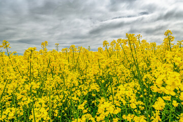 The Thuringian landscape is like a painting that would make even Bob Ross jealous &ndash; with more greenery than in a salad buffet