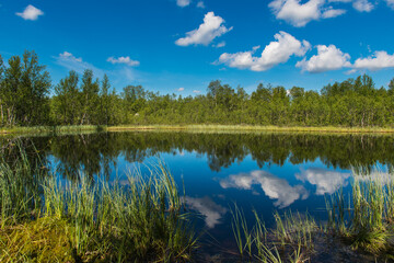 Fototapeta na wymiar Blue sky with clouds reflected in the forest lake