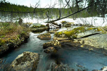 Spring creek with stones and moss in the foreground