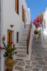 Fototapeta na wymiar Traditional Cycladitic alley with a narrow street, whitewashed houses and a blooming bougainvillea in Parikia, Paros island, Greece