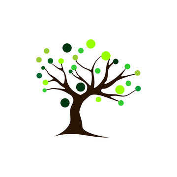 Tree icon design vector isolated, tree with round shape