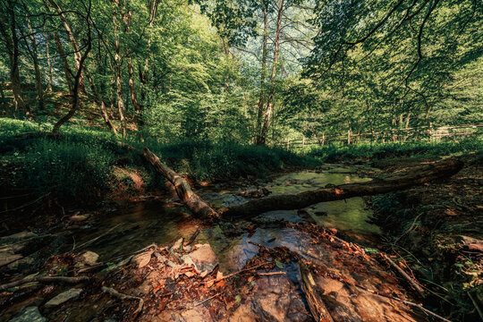 The Thuringian landscape is like a painting that would make even Bob Ross jealous &ndash; with more greenery than in a salad buffet