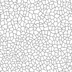  Seamless pattern. cracks texture white and black. Vector background. For design and decorate path, wall, backdrop.  