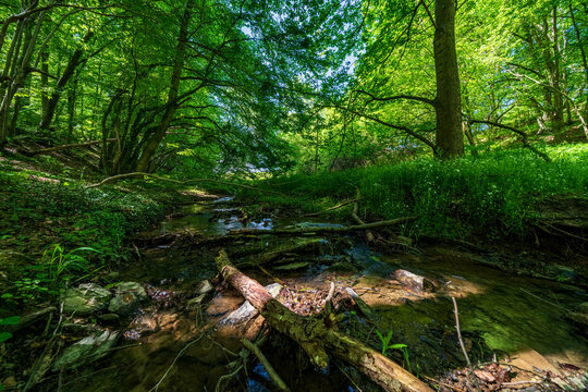The Thuringian landscape is like a painting that would make even Bob Ross jealous &ndash; with more greenery than in a salad buffet