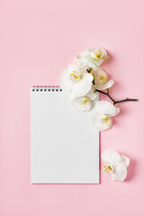 Open notebook and orchid flowers on a pink background.