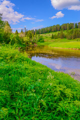landscape with a river in the forest