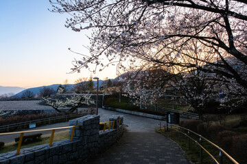 山梨県山梨市 春の山梨県笛吹川フルーツ公園、夕景