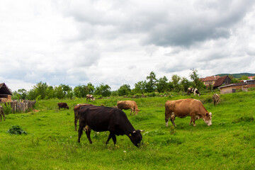 Landscape in Romania