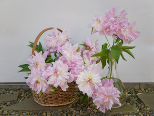 Peonies in a basket and in a glass vase on a white background
