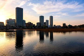 Obraz premium 東京都台東区 春の上野公園、不忍池 夕方
