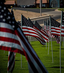 American flags fly wave in memorium honor of freedom veterans soldiers fallen lost during war time...