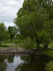 Fishing farm for carp breeding.