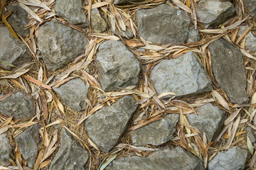 Top view of cobbled paving stones made of voluminous gray stones of various shapes and sizes. Yellow fallen last year's elongated leaves lie between the stones.
