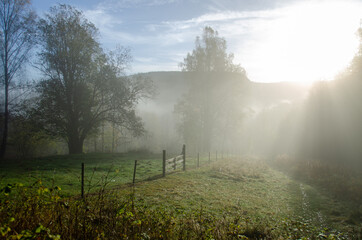 Fototapeta na wymiar A rural morning field with old wooden gate in the fence with sunlight and morning misty fog
