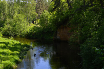 Sandstone rock outcrop on the river bank in the forest.