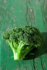 Big freshly cut broccoli plant branch on summer sunlight. Green wood texture background. Season garden vegetables