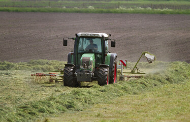 Fototapeta na wymiar Haymaking: tractor with tedder shaking mowed grass