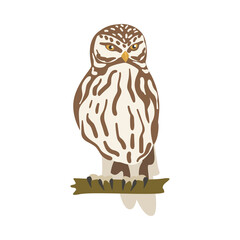 Perching Owl Bird with Broad Head and Sharp Talons Having Upright Stance Vector Illustration