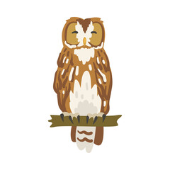 Perching Owl Bird with Broad Head and Sharp Talons Having Upright Stance Vector Illustration