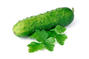 cucumber and parsley isolated on white. fresh green vegetables