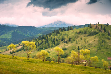 Carpathian dramatic landscape