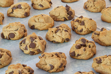Chocolatechip cookies straight from the oven are laid out to cool