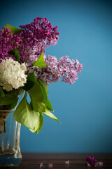 bouquet of different blooming spring lilacs in a vase on blue background