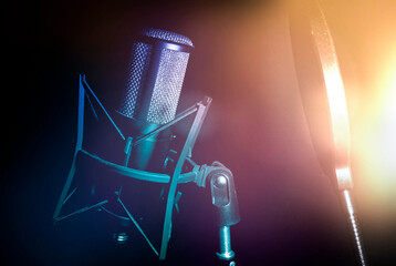 studio microphone condenser beautiful microphone