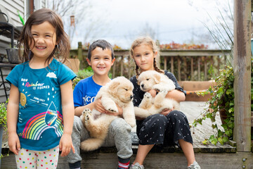 Children Playing with Golden Retriever Puppies