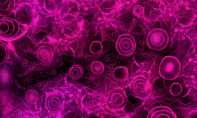 Pink microscopy universe banner with space effect. Purple alcohol ink abstract background. X-ray alcohol ink. 