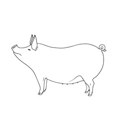 Outline vector standing Pig. Series of Livestock, Farm Animals. Hand drawn line art sketch, doodle, contour design element isolated for coloring book page, veterinary, rustic, animal husbandry theme