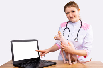 Female vet showing forefinger to empty mock up laptop screen. Veterinary clinic website on laptop display. Doctors for pets online. Cute sphinx cat look carefully at net gadget device