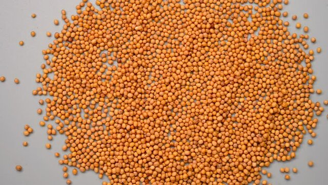 top pan view herb ChaoJieZi or Sinapis Semen or stir-baked Indian Mustard Seed