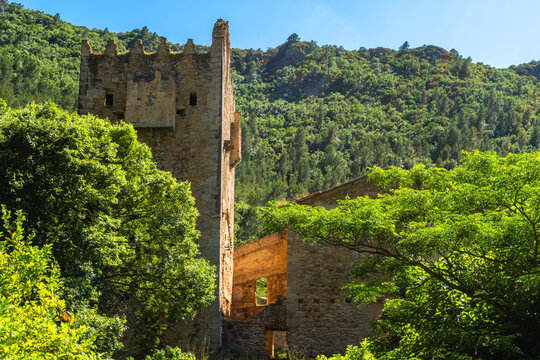 Ruins of the Monastery of La Murta in Alzira, Valencia (Spain).